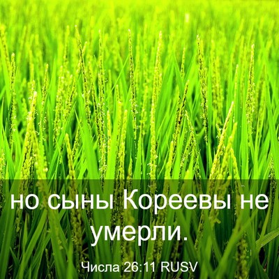 Picture 03 - Числа 26:11 RUSV - но сыны Кореевы не - Bible Verse Picture