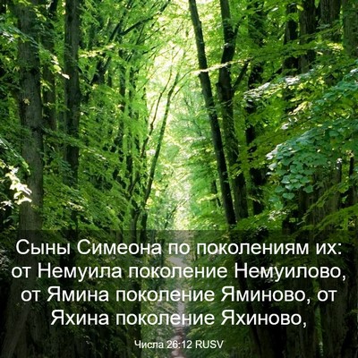 Picture 03 - Числа 26:12 RUSV - Сыны Симеона по поколениям - Bible Verse Picture
