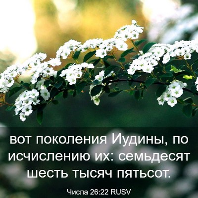 Picture 03 - Числа 26:22 RUSV - вот поколения Иудины, по - Bible Verse Picture
