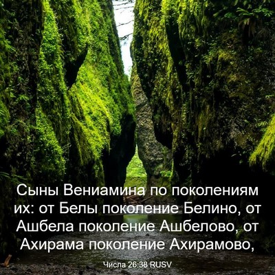Picture 03 - Числа 26:38 RUSV - Сыны Вениамина по - Bible Verse Picture