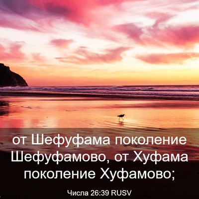 Picture 03 - Числа 26:39 RUSV - от Шефуфама поколение - Bible Verse Picture