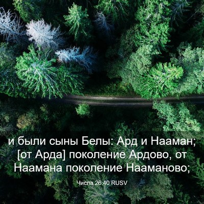 Picture 03 - Числа 26:40 RUSV - и были сыны Белы: Ард и - Bible Verse Picture