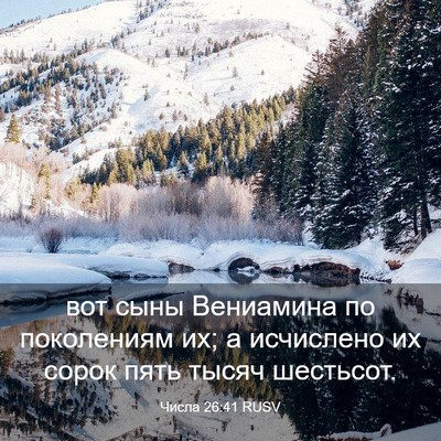 Picture 03 - Числа 26:41 RUSV - вот сыны Вениамина по - Bible Verse Picture