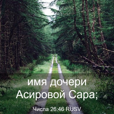 Picture 03 - Числа 26:46 RUSV - имя дочери Асировой - Bible Verse Picture