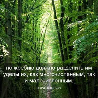 Picture 03 - Числа 26:56 RUSV - по жребию должно разделить - Bible Verse Picture