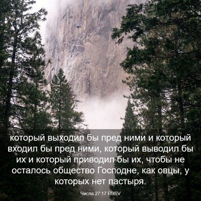 Picture 03 - Числа 27:17 RUSV - который выходил бы пред - Bible Verse Picture