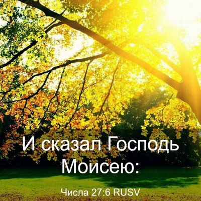 Picture 03 - Числа 27:6 RUSV - И сказал Господь - Bible Verse Picture
