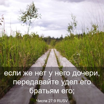 Picture 03 - Числа 27:9 RUSV - если же нет у него дочери, - Bible Verse Picture