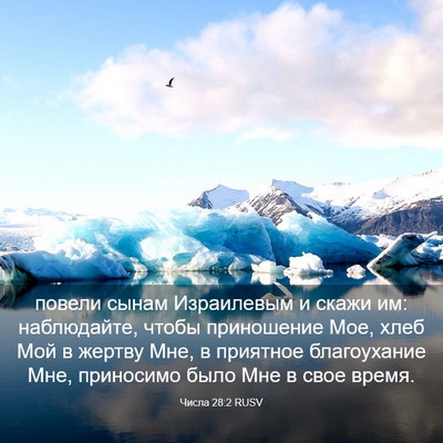 Picture 03 - Числа 28:2 RUSV - повели сынам Израилевым и - Bible Verse Picture