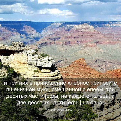 Picture 03 - Числа 28:20 RUSV - и при них в приношение - Bible Verse Picture