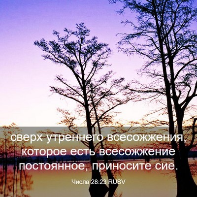 Picture 03 - Числа 28:23 RUSV - сверх утреннего - Bible Verse Picture