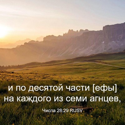 Picture 03 - Числа 28:29 RUSV - и по десятой части [ефы] на - Bible Verse Picture
