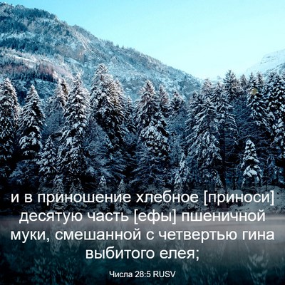 Picture 03 - Числа 28:5 RUSV - и в приношение хлебное - Bible Verse Picture
