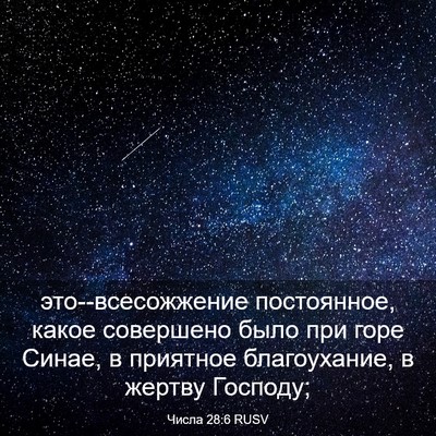 Picture 03 - Числа 28:6 RUSV - это--всесожжение - Bible Verse Picture