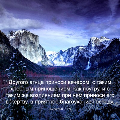 Picture 03 - Числа 28:8 RUSV - Другого агнца приноси - Bible Verse Picture