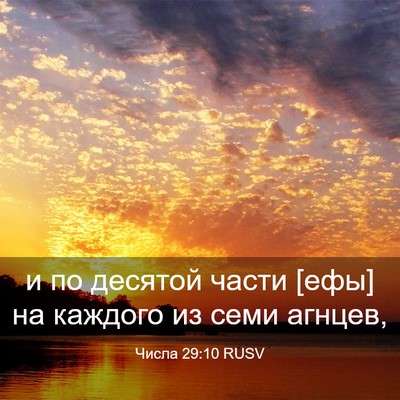 Picture 03 - Числа 29:10 RUSV - и по десятой части [ефы] на - Bible Verse Picture