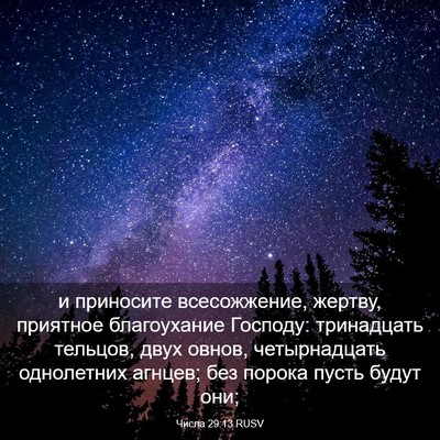 Picture 03 - Числа 29:13 RUSV - и приносите всесожжение, - Bible Verse Picture