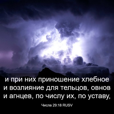 Picture 03 - Числа 29:18 RUSV - и при них приношение - Bible Verse Picture