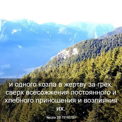 Picture 03 - Числа 29:19 RUSV - и одного козла в жертву за - Bible Verse Picture