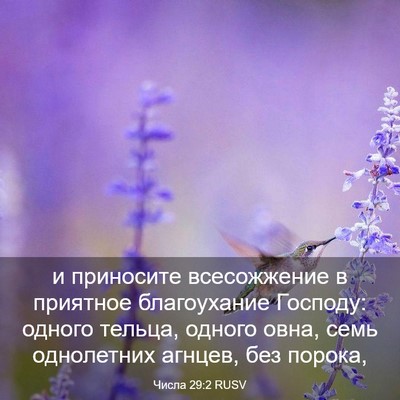 Picture 03 - Числа 29:2 RUSV - и приносите всесожжение в - Bible Verse Picture