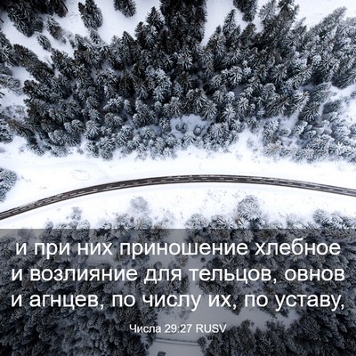 Picture 03 - Числа 29:27 RUSV - и при них приношение - Bible Verse Picture