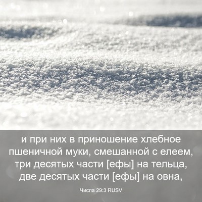 Picture 03 - Числа 29:3 RUSV - и при них в приношение - Bible Verse Picture