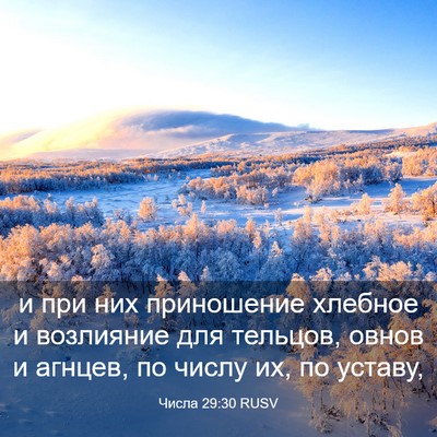 Picture 03 - Числа 29:30 RUSV - и при них приношение - Bible Verse Picture