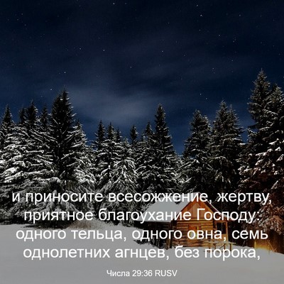 Picture 03 - Числа 29:36 RUSV - и приносите всесожжение, - Bible Verse Picture