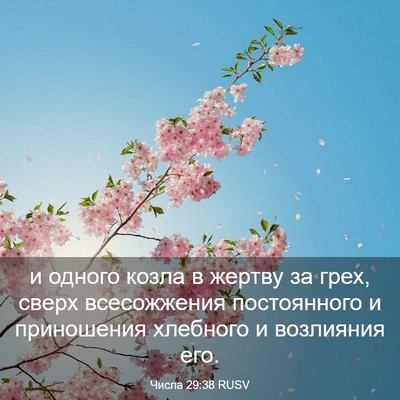 Picture 03 - Числа 29:38 RUSV - и одного козла в жертву за - Bible Verse Picture