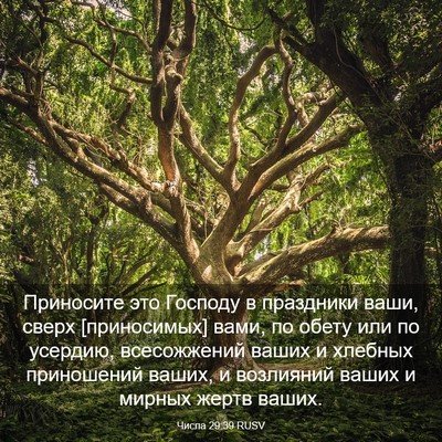 Picture 03 - Числа 29:39 RUSV - Приносите это Господу в - Bible Verse Picture