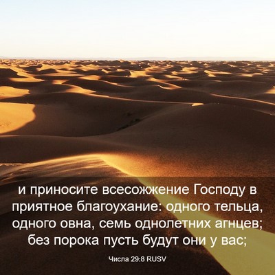 Picture 03 - Числа 29:8 RUSV - и приносите всесожжение - Bible Verse Picture