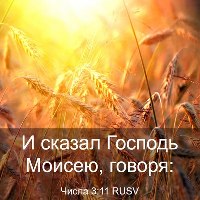Picture 03 - Числа 3:11 RUSV - И сказал Господь Моисею, - Bible Verse Picture