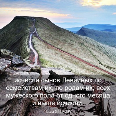 Picture 03 - Числа 3:15 RUSV - исчисли сынов Левииных по - Bible Verse Picture