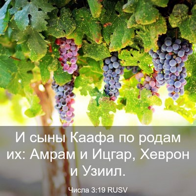 Picture 03 - Числа 3:19 RUSV - И сыны Каафа по родам их: - Bible Verse Picture