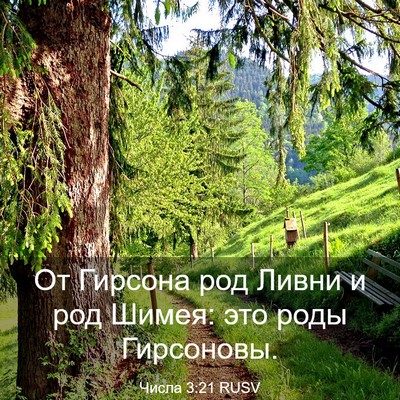 Picture 03 - Числа 3:21 RUSV - От Гирсона род Ливни и род - Bible Verse Picture