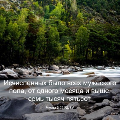 Picture 03 - Числа 3:22 RUSV - Исчисленных было всех - Bible Verse Picture