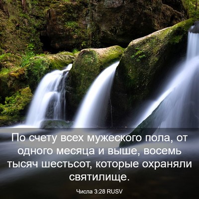 Picture 03 - Числа 3:28 RUSV - По счету всех мужеского - Bible Verse Picture