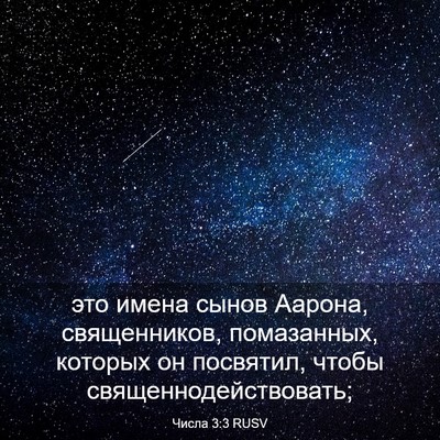 Picture 03 - Числа 3:3 RUSV - это имена сынов Аарона, - Bible Verse Picture