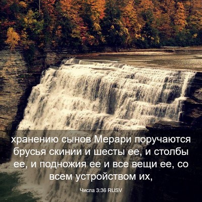 Picture 03 - Числа 3:36 RUSV - хранению сынов Мерари - Bible Verse Picture