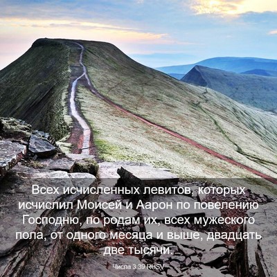 Picture 03 - Числа 3:39 RUSV - Всех исчисленных левитов, - Bible Verse Picture