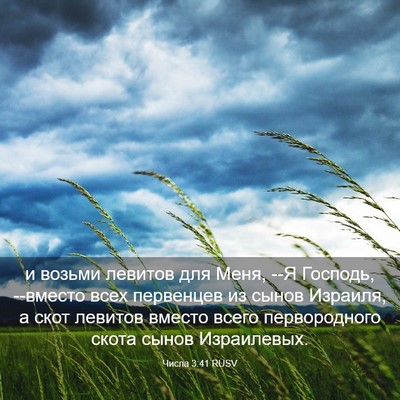 Picture 03 - Числа 3:41 RUSV - и возьми левитов для Меня, - Bible Verse Picture