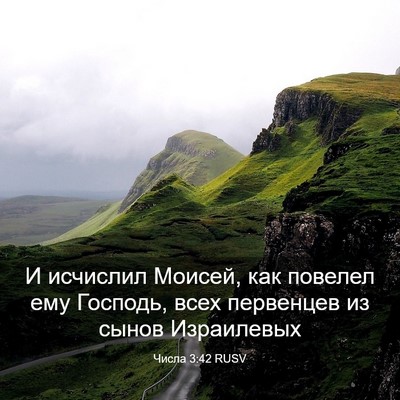 Picture 03 - Числа 3:42 RUSV - И исчислил Моисей, как - Bible Verse Picture