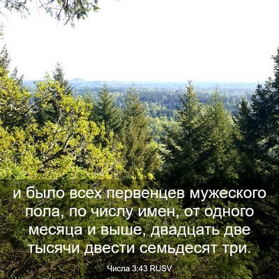 Picture 03 - Числа 3:43 RUSV - и было всех первенцев - Bible Verse Picture