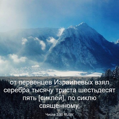 Picture 03 - Числа 3:50 RUSV - от первенцев Израилевых - Bible Verse Picture