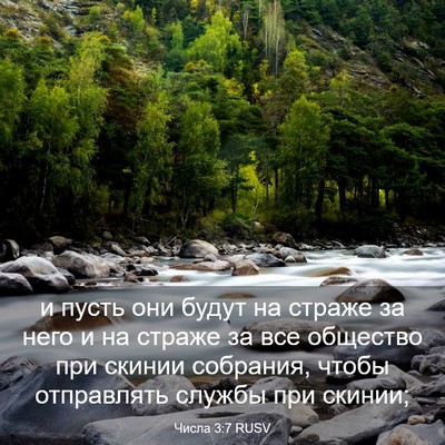 Picture 03 - Числа 3:7 RUSV - и пусть они будут на страже - Bible Verse Picture