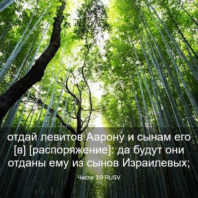Picture 03 - Числа 3:9 RUSV - отдай левитов Аарону и - Bible Verse Picture