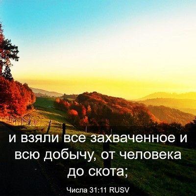 Picture 03 - Числа 31:11 RUSV - и взяли все захваченное и - Bible Verse Picture