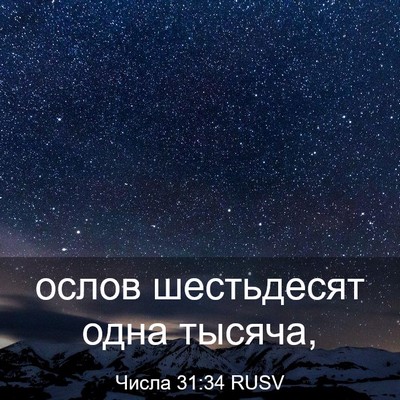 Picture 03 - Числа 31:34 RUSV - ослов шестьдесят одна - Bible Verse Picture
