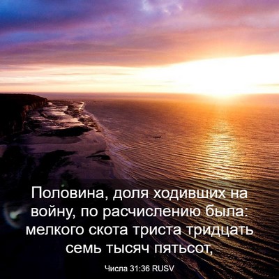 Picture 03 - Числа 31:36 RUSV - Половина, доля ходивших на - Bible Verse Picture