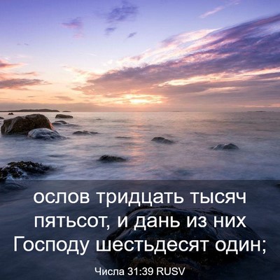 Picture 03 - Числа 31:39 RUSV - ослов тридцать тысяч - Bible Verse Picture